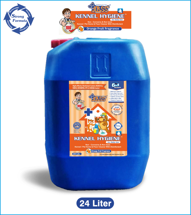 Orange Fruit Fragrance-24Ltr
