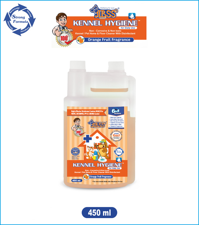 Orange Fruit Fragrance-450ml